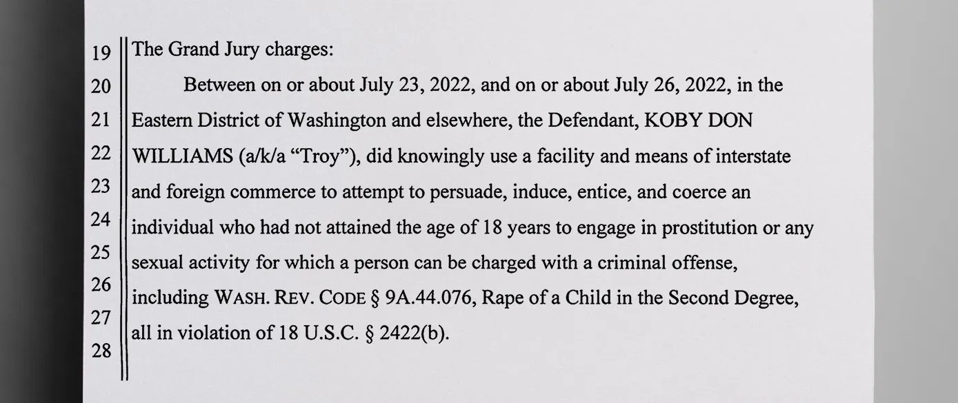 A federal grand jury indicted ICE officer Koby Don Williams for attempting to persuade a minor to have sex with him - The Daily Muck