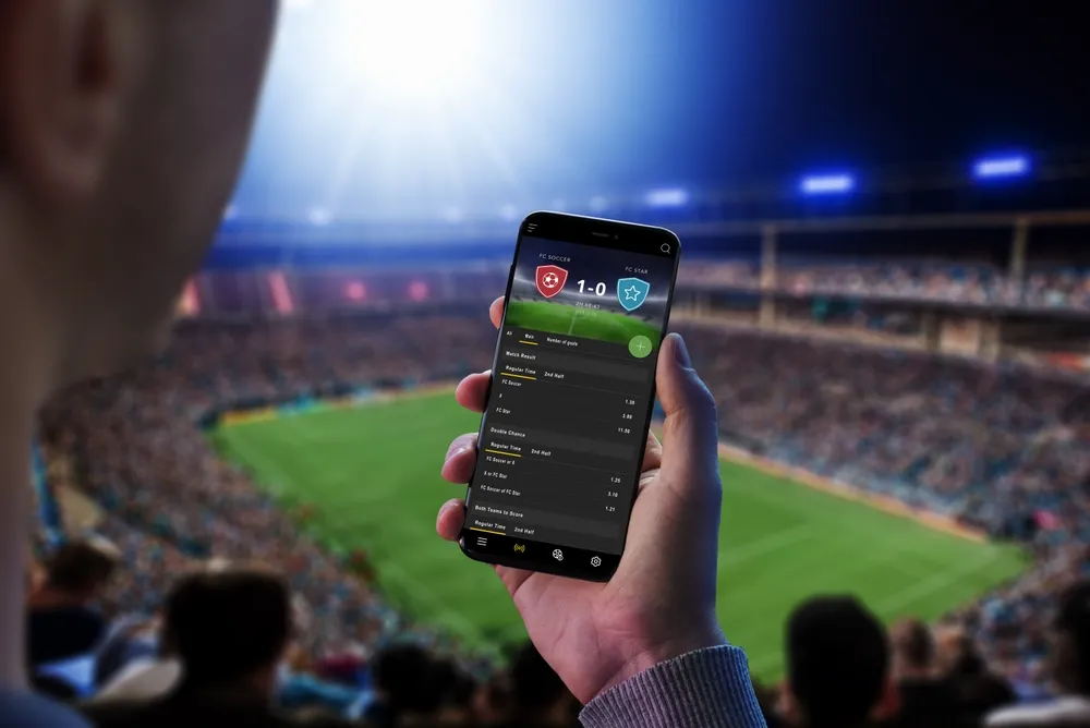 A Man Sitting in a Crowded Stadium Holds a Phone with Sports Odds on It Representing Sports Bettering Which Can Be Risky - The Daily Muck