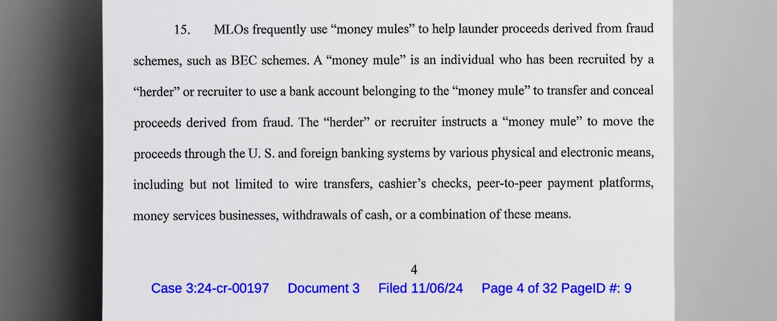 Money_laundering_rings_like_this_one_mainly_comprised_of_members_from_Tennessee_and_Texas_recruit_money_mules_to_open_bank_accounts_to_funnel_proceeds_of_illegal_activity