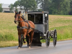 An_Amish_Man_Drives_a_Horse_and_Buggy_Representing_a_Story_About_the_Justice_Departments_Attempts_to_Strike_Down_a_Law_Requiring_the_Religious_Sect_to_Connect_to_Commercial_Sewage