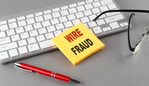 Erlene_King_Pleaded_Guilty_to_Scheming_to_Steal_Money_From_New_York_Citys_Campaign_Finance_Board