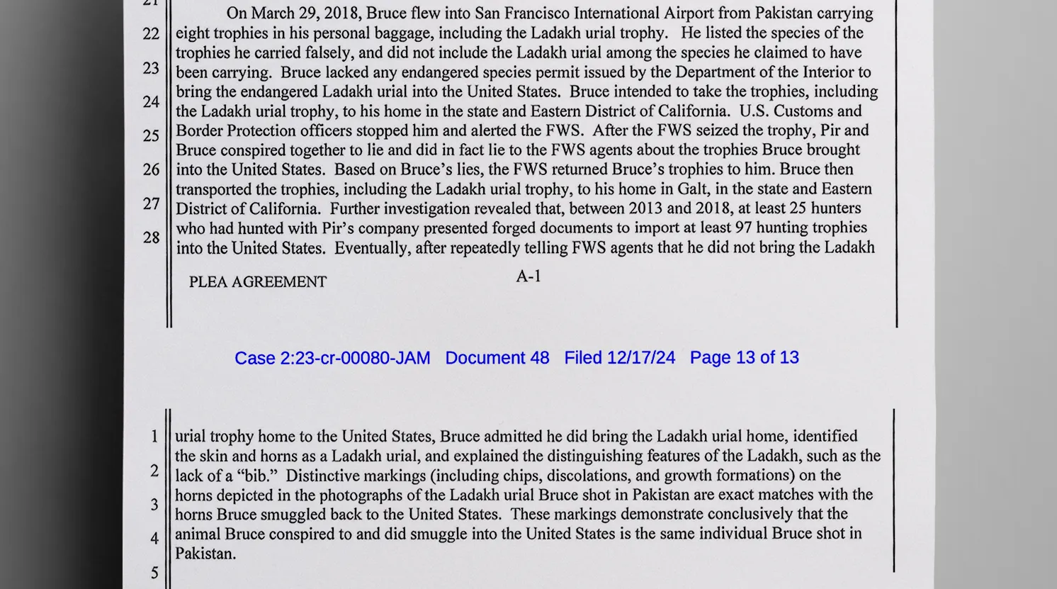 Jason_Keith_Bruce_stipulated_the_allegation_that_he_shot_an_endangered_animal_and_illegally_tried_to_smuggle_its_carcass_into_the_United_States