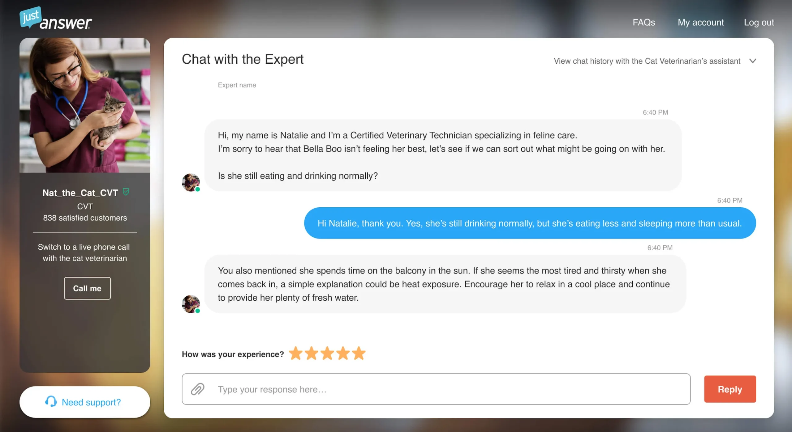 JustAnswer.com_Offers_the_Chance_for_Internet_Users_to_Ask_Questions_From_Vetted_Experts_As_Shown_in_This_Chat_Transacript_of_a_Woman_Talking_to_a_Veterinary_Technician_About_Her_Cat-scaled